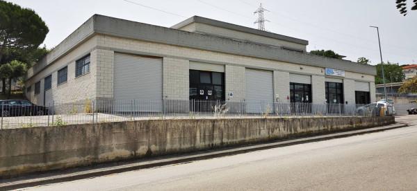 Magazzino in Via Achille Grandi 46, Ancona, {3} - Foto 1