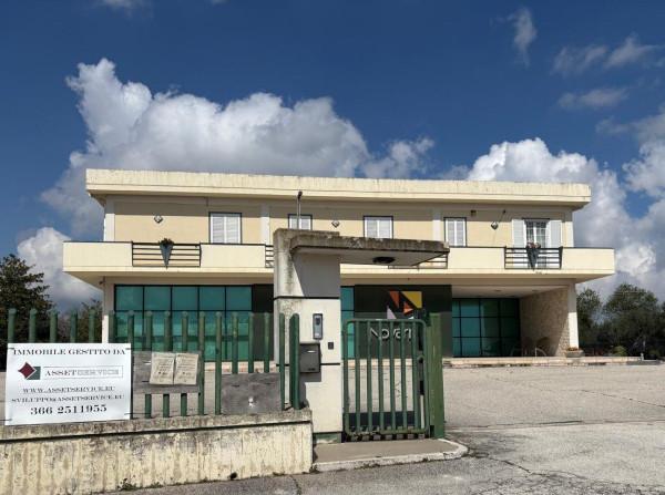 Capannone in Contrada Colle Sant'Andrea 1, Ripatransone, {3} - Foto 2