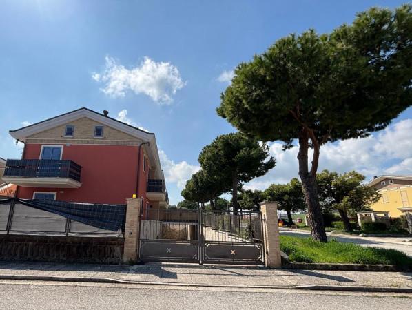 Magazzino in Via San Gregorio Magno 59, Cupra Marittima, {3} - Foto 1