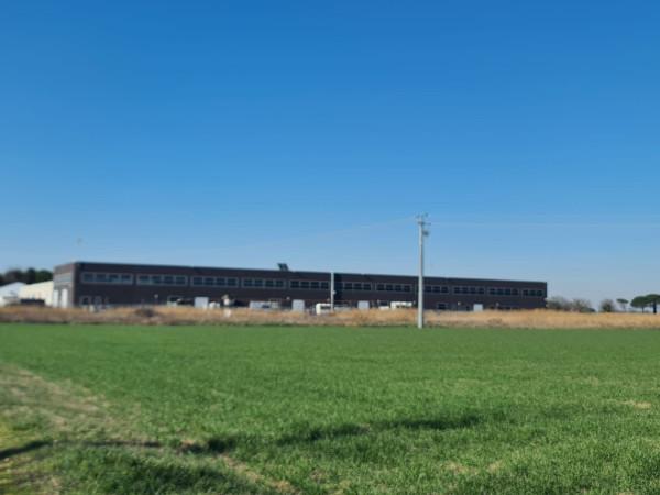 Capannone in Strada Provinciale di Gatteo, Cervia, {3} - Foto 1