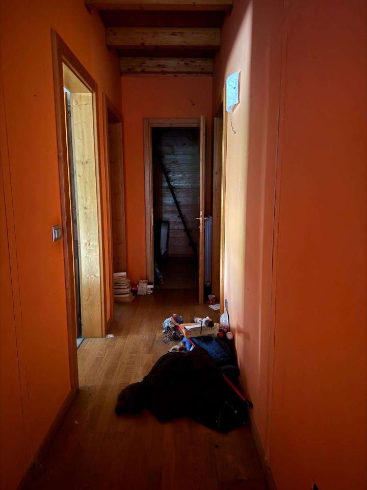 immagine annuncio 6 di 12