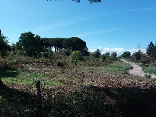 Terreno edificabile in Via di Carta Bruta 57, Grottaferrata - Foto 1