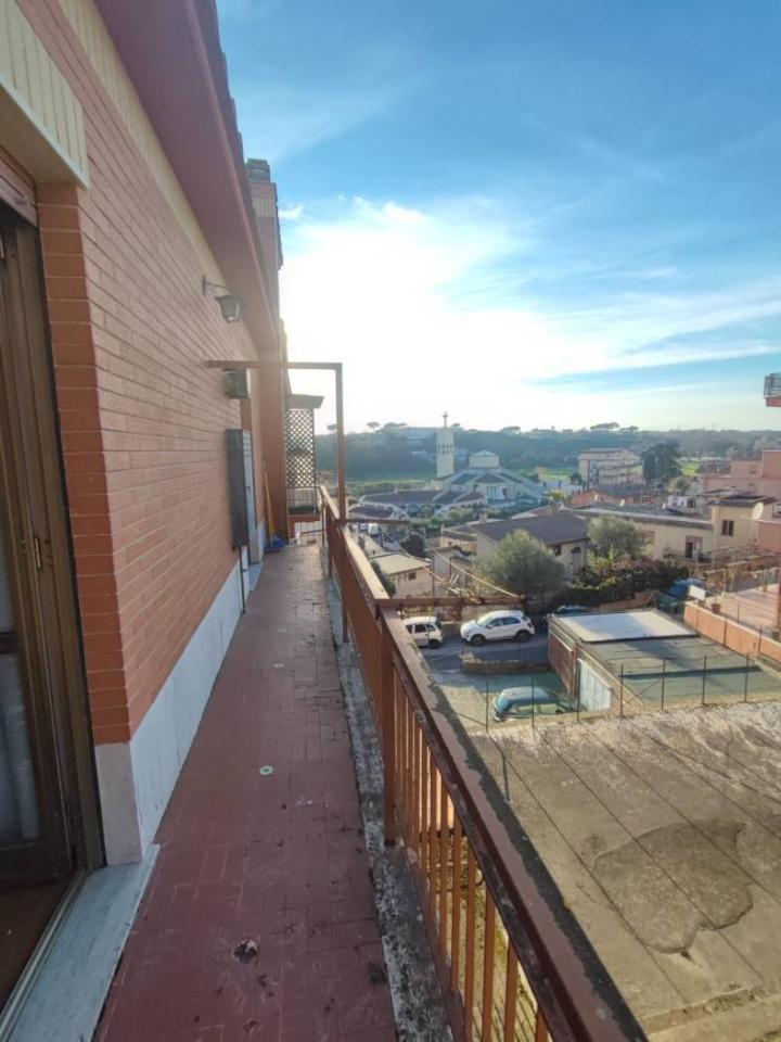 immagine annuncio 5 di 14