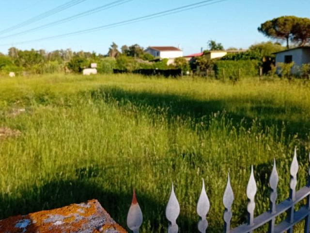 Terreno agricolo in Strada Casilina Nord, Latina - Foto 1