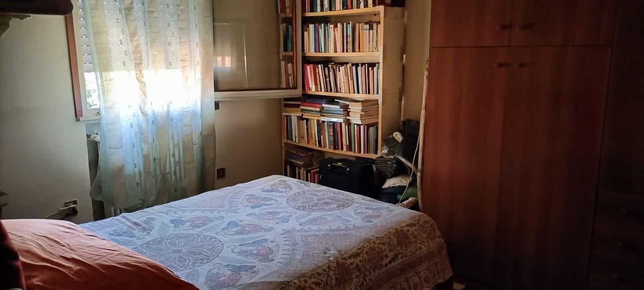 immagine annuncio 5 di 12