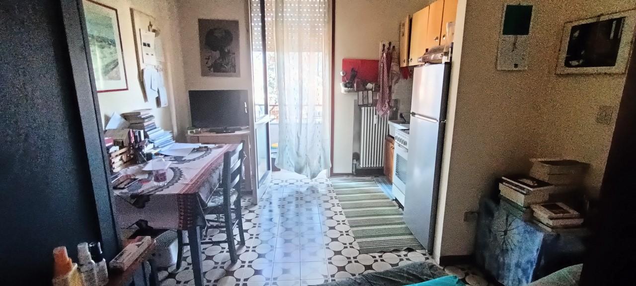 immagine annuncio 2 di 12