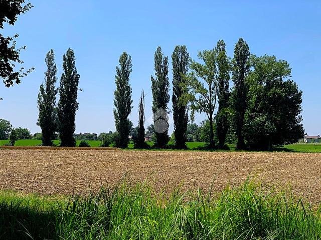 Mansion, Roncade - Photo 1