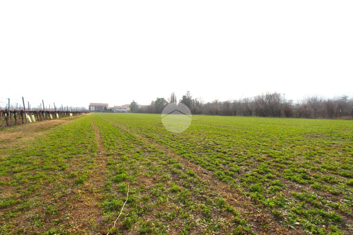 Terreno agricolo in Via Belvedere, Verona