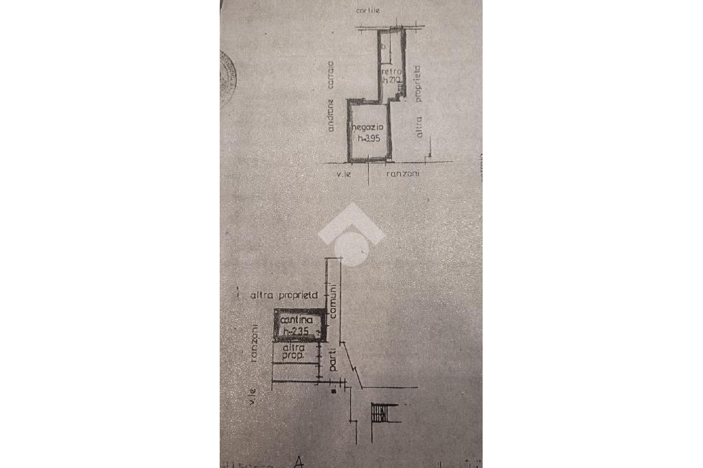 Negozio in Viale Ranzoni Daniele 27, Milano, {3} - Planimetria 1