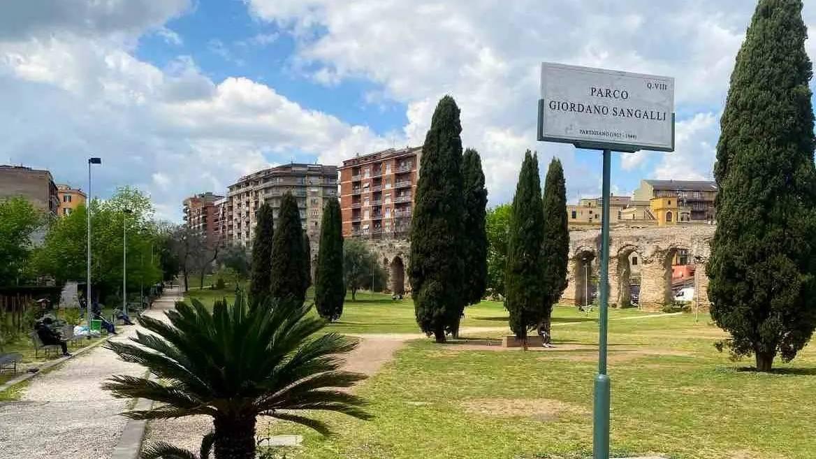 immagine annuncio 2 di 5