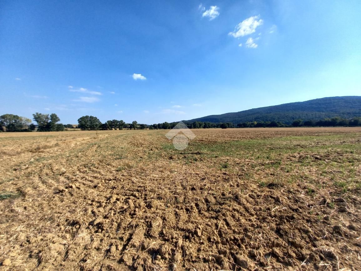 Terreno agricolo in vendita a Montecastrilli