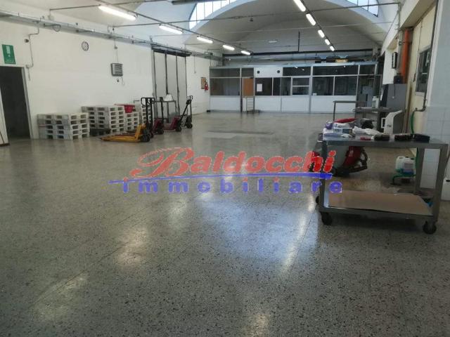 insertion image