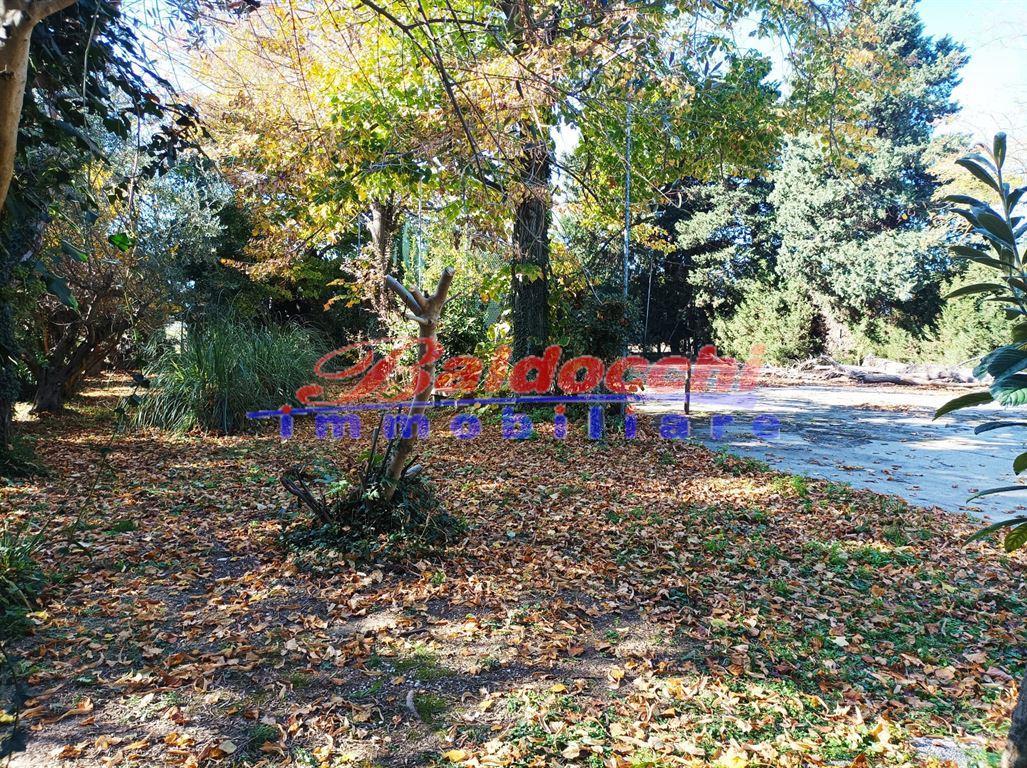 immagine annuncio 3 di 7