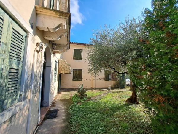 immagine annuncio 7 di 11