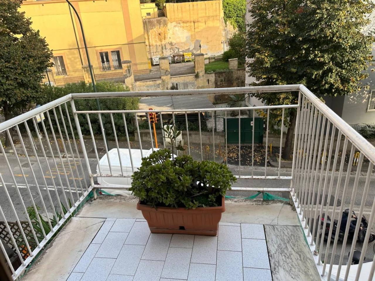 immagine annuncio 2 di 14