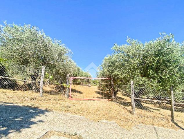 Agricultural land in Via della Ginestra, Canale Monterano - Photo 1