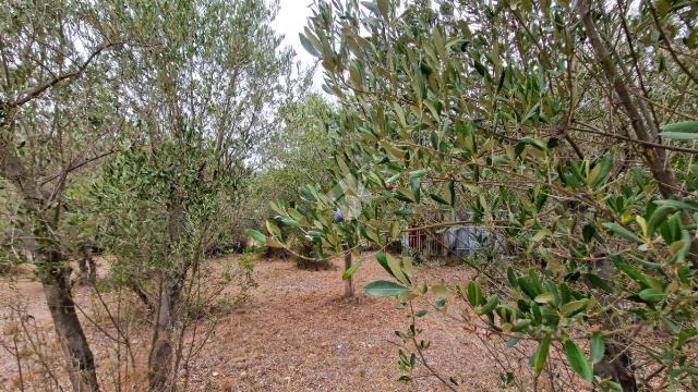 Terreno agricolo in Via Prealino, Ceriale - Foto 1