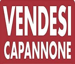 Capannone in Santa Maria di Sala, Mirano, {3} - Foto 1