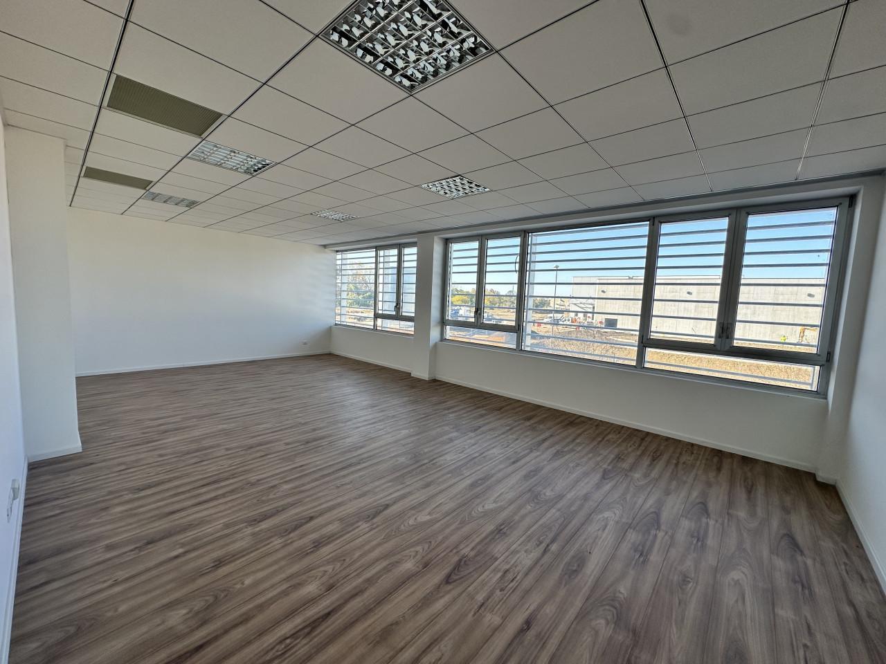 Ufficio in Treviso Mare, Roncade, {3} - Foto 2