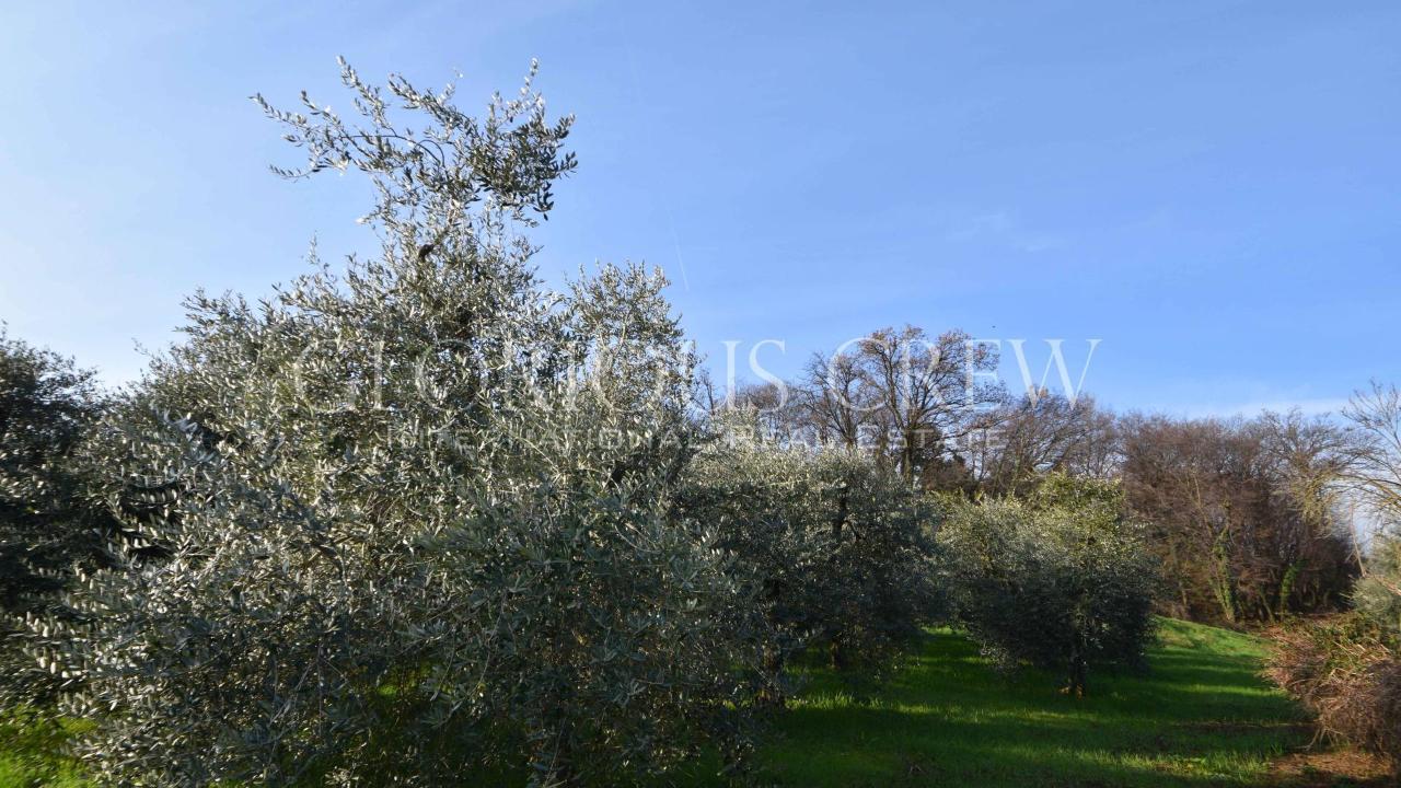 immagine annuncio 1 di 6