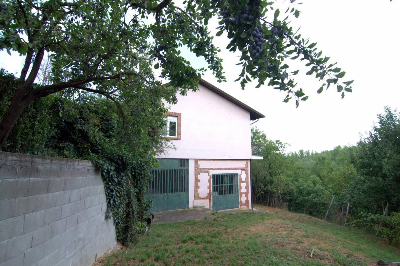 immagine annuncio 6 di 14