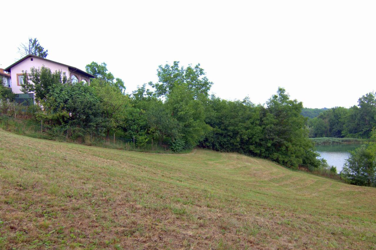 immagine annuncio 5 di 14