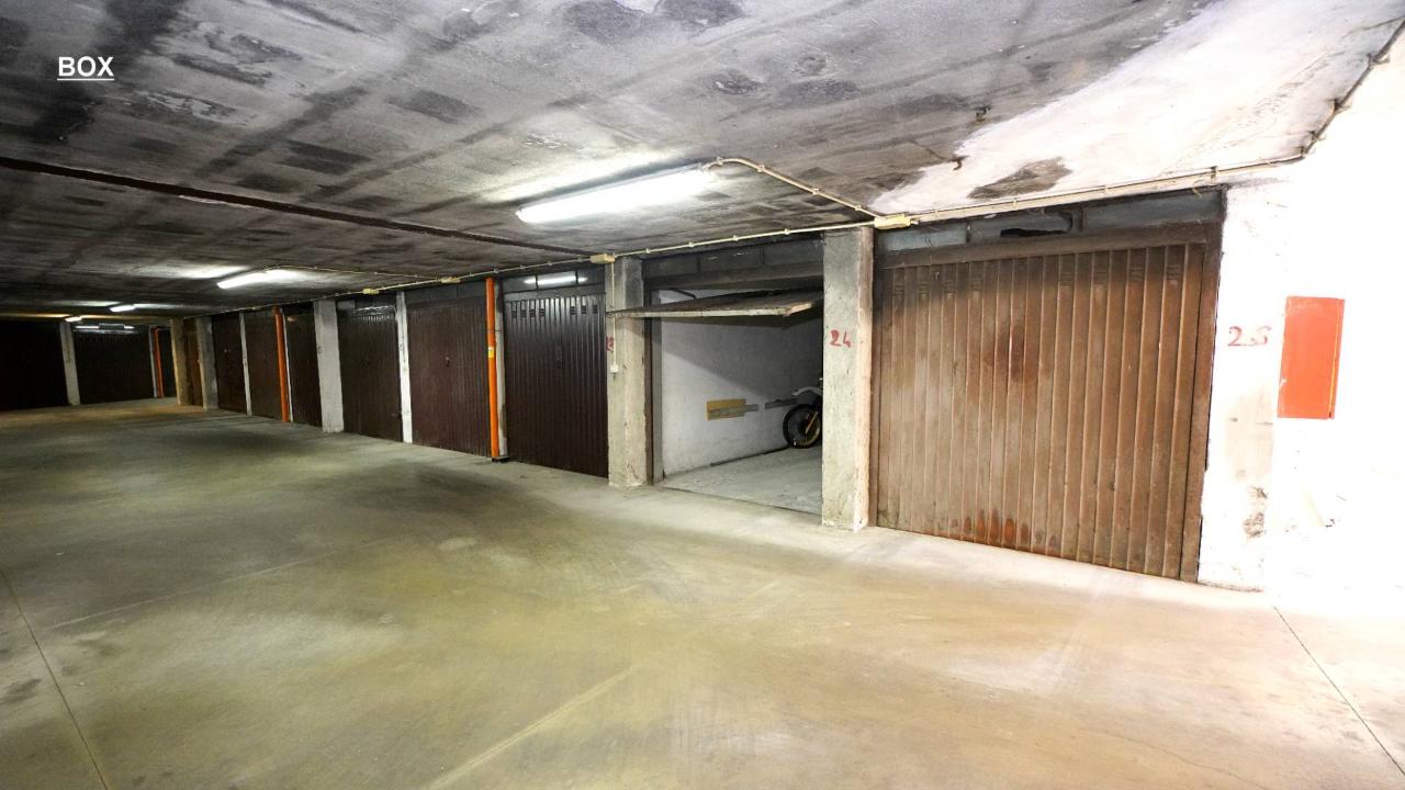 immagine annuncio 12 di 13