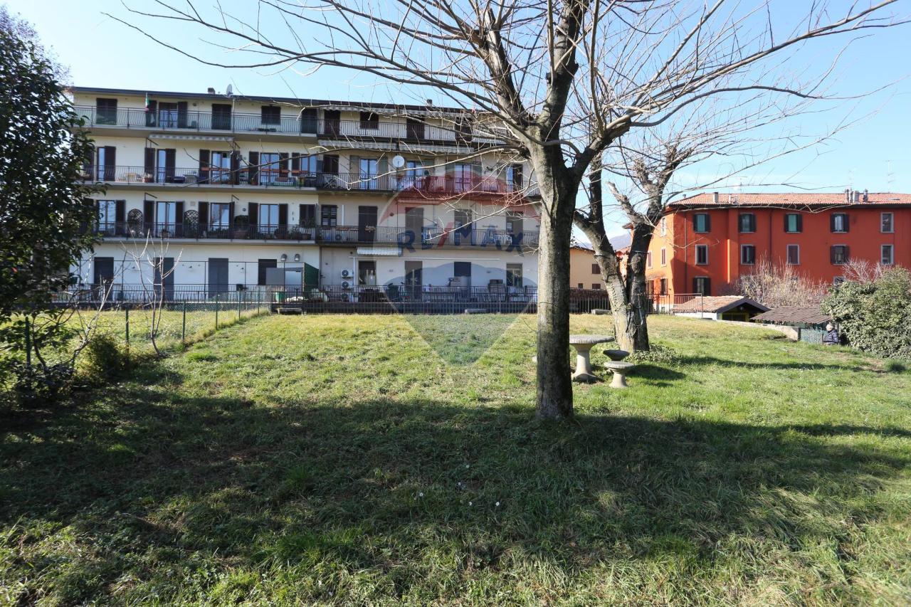 immagine annuncio 11 di 14