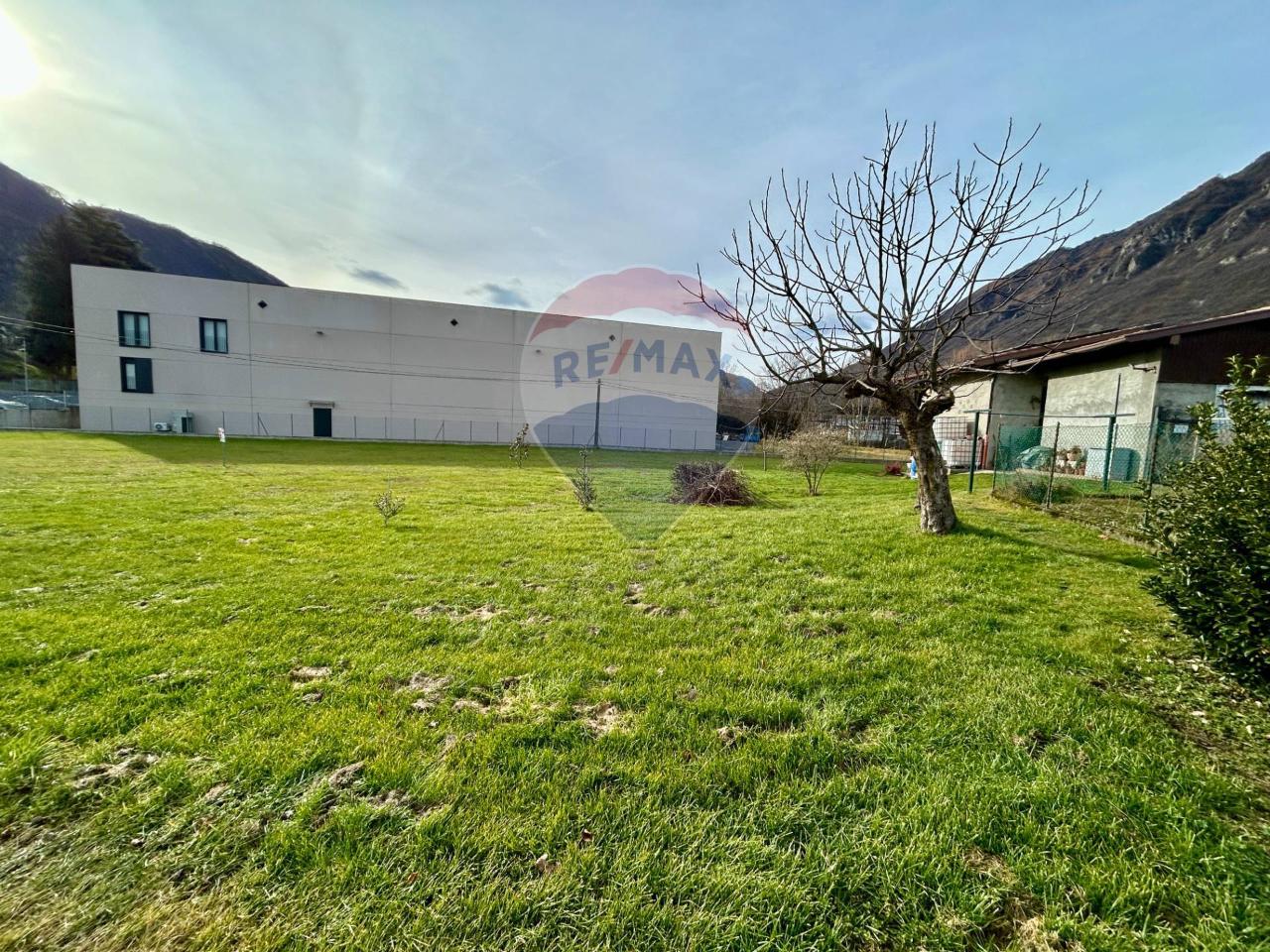 immagine annuncio 11 di 14