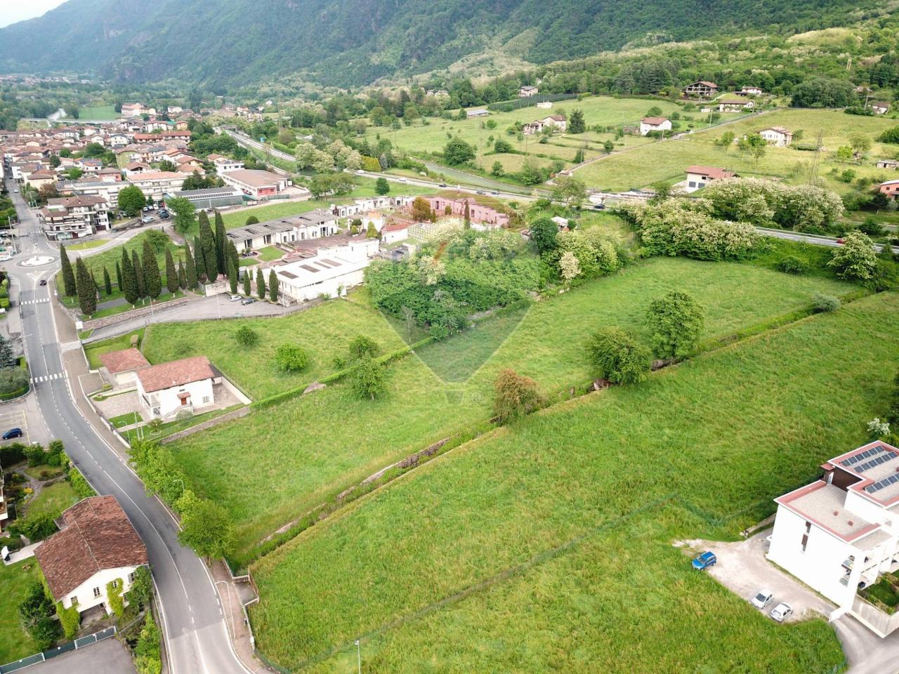 immagine annuncio 5 di 11