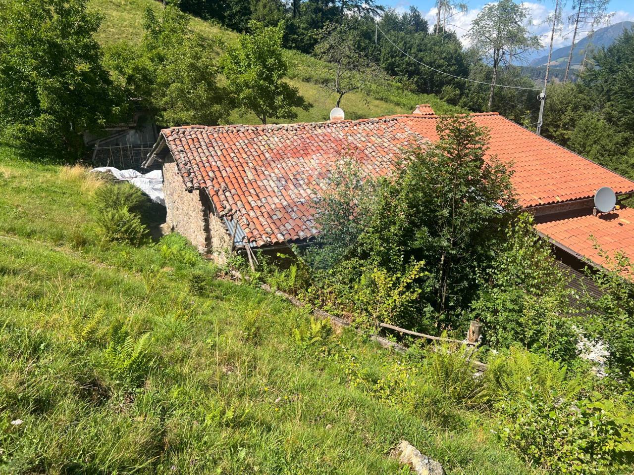 immagine annuncio 10 di 14