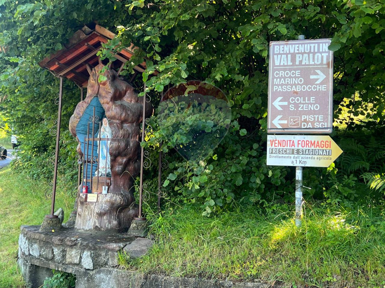 immagine annuncio 11 di 14