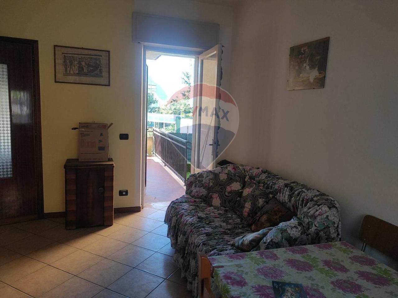 immagine annuncio 5 di 14