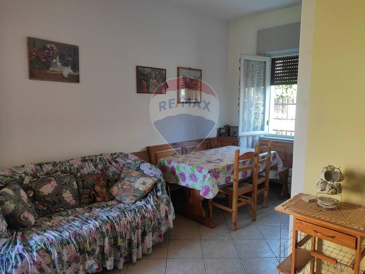 immagine annuncio 6 di 14