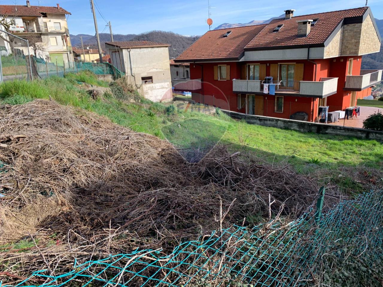 immagine annuncio 3 di 6