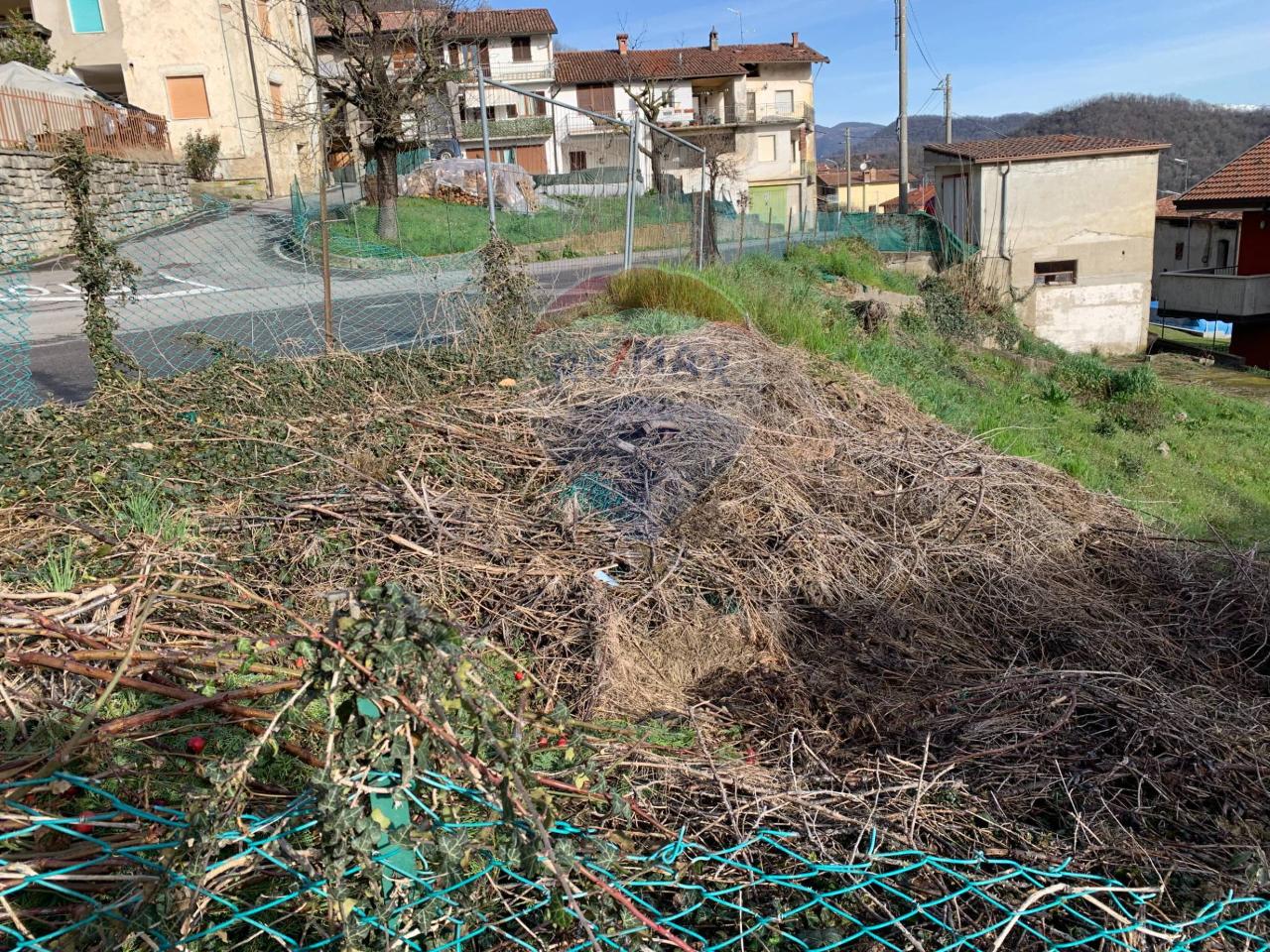 immagine annuncio 4 di 6