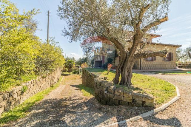 Villa in {3}, Località Le Mandrie - Foto 1