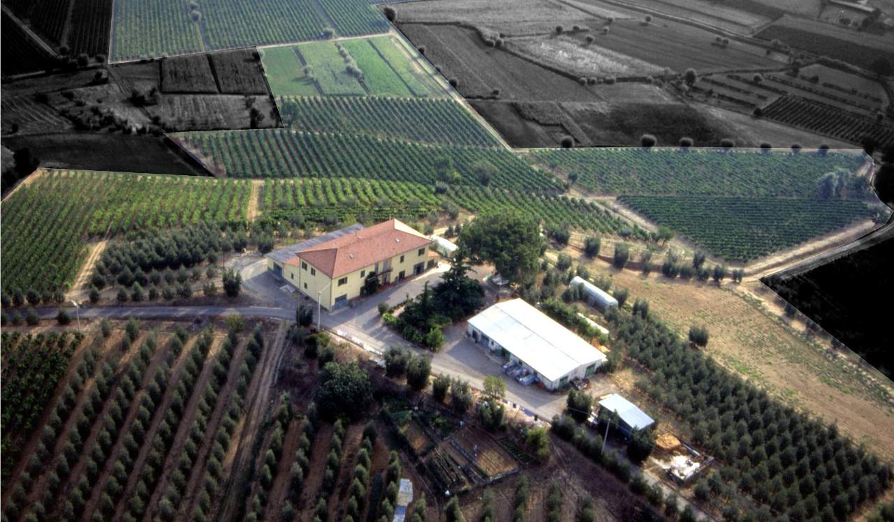 Azienda agricola in Pomo 1, Cerreto Guidi - Foto 1