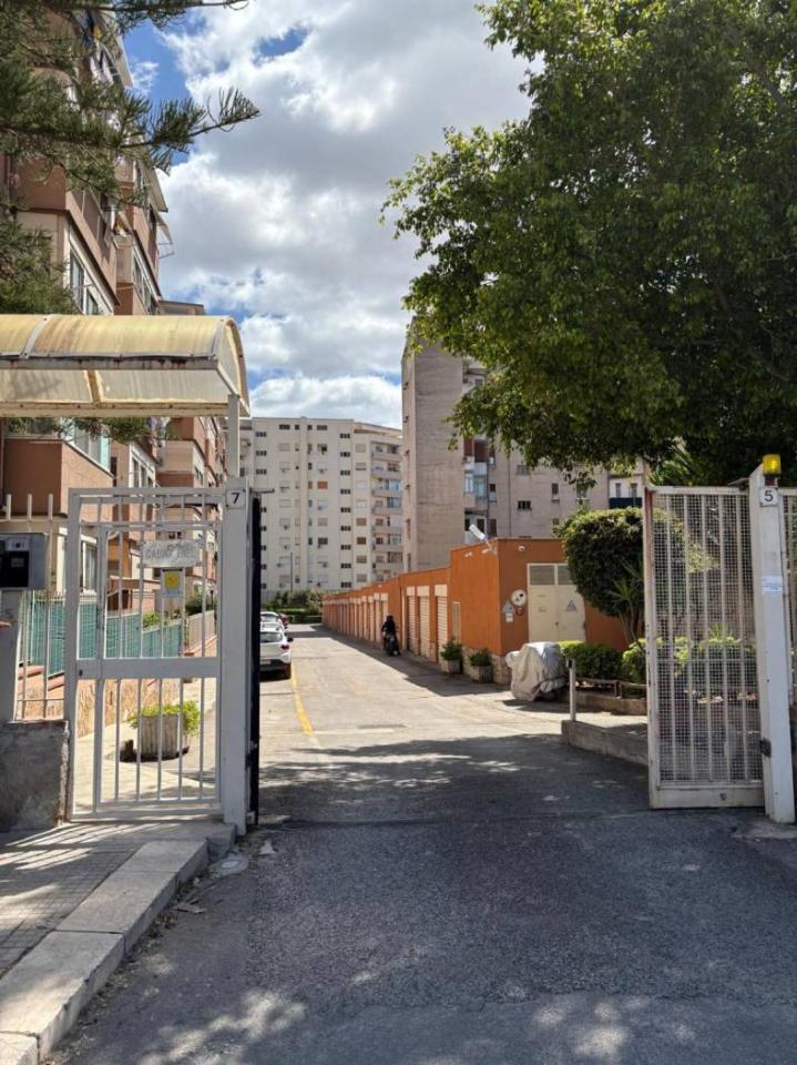 immagine annuncio 2 di 12