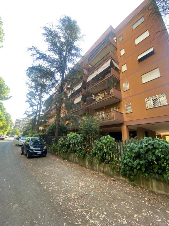 immagine annuncio 3 di 12