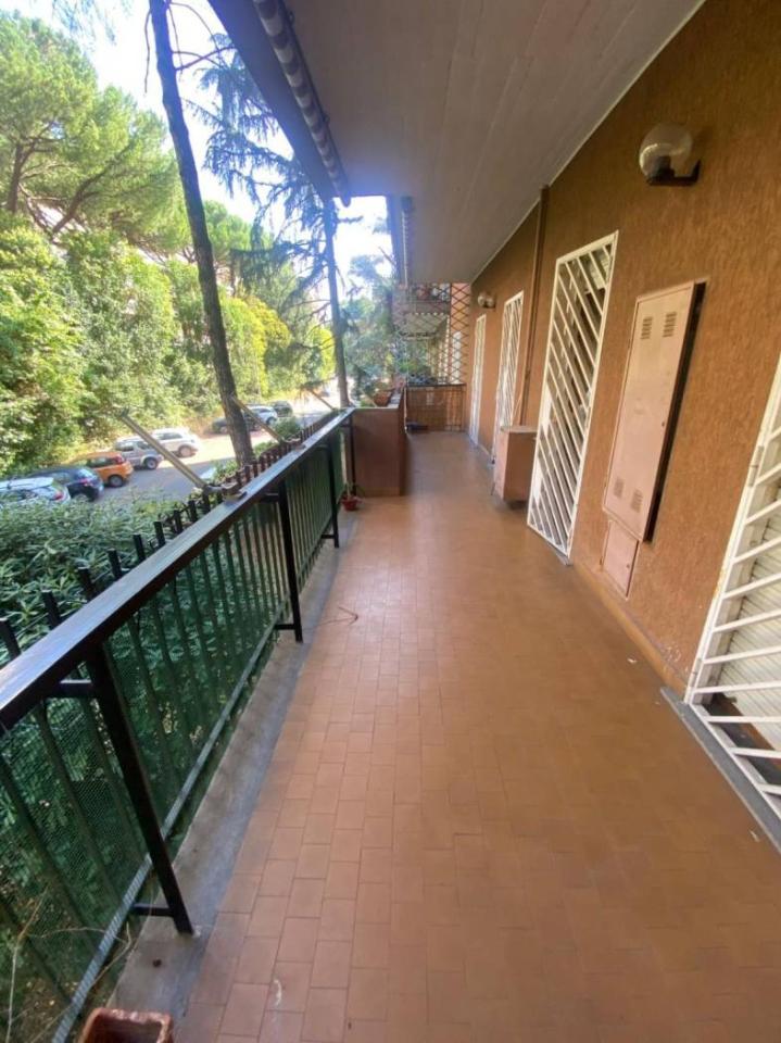 immagine annuncio 5 di 12