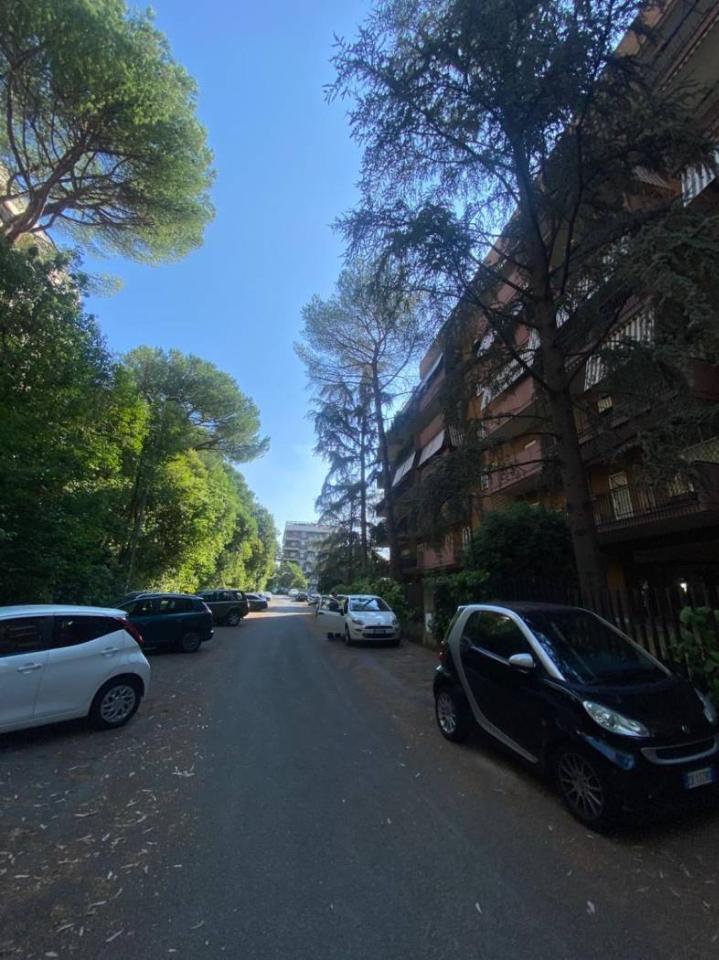 immagine annuncio 2 di 12