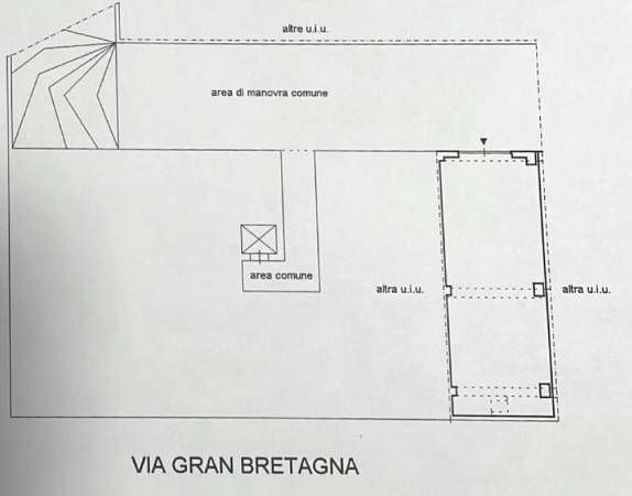 insertion image