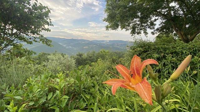 Rustico, Todi - Foto 1