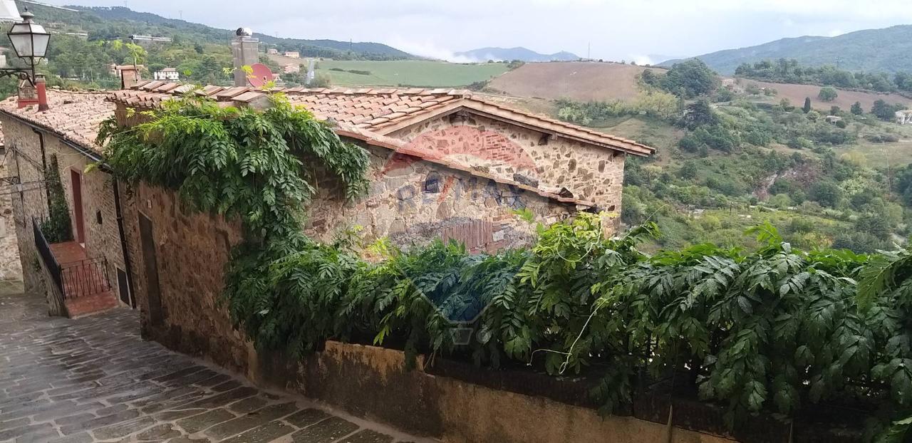 Casa indipendente in vendita a Castelnuovo Val Di Cecina