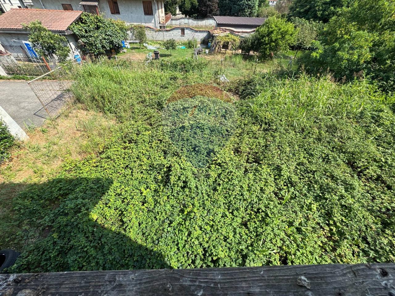 immagine annuncio 11 di 13