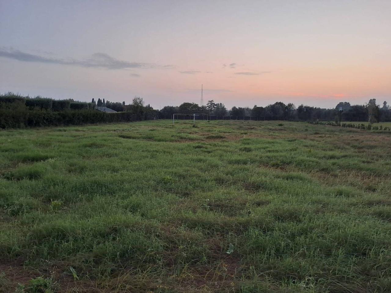 immagine annuncio 2 di 14