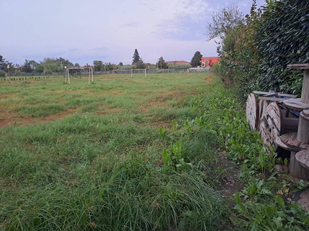 immagine annuncio 5 di 14