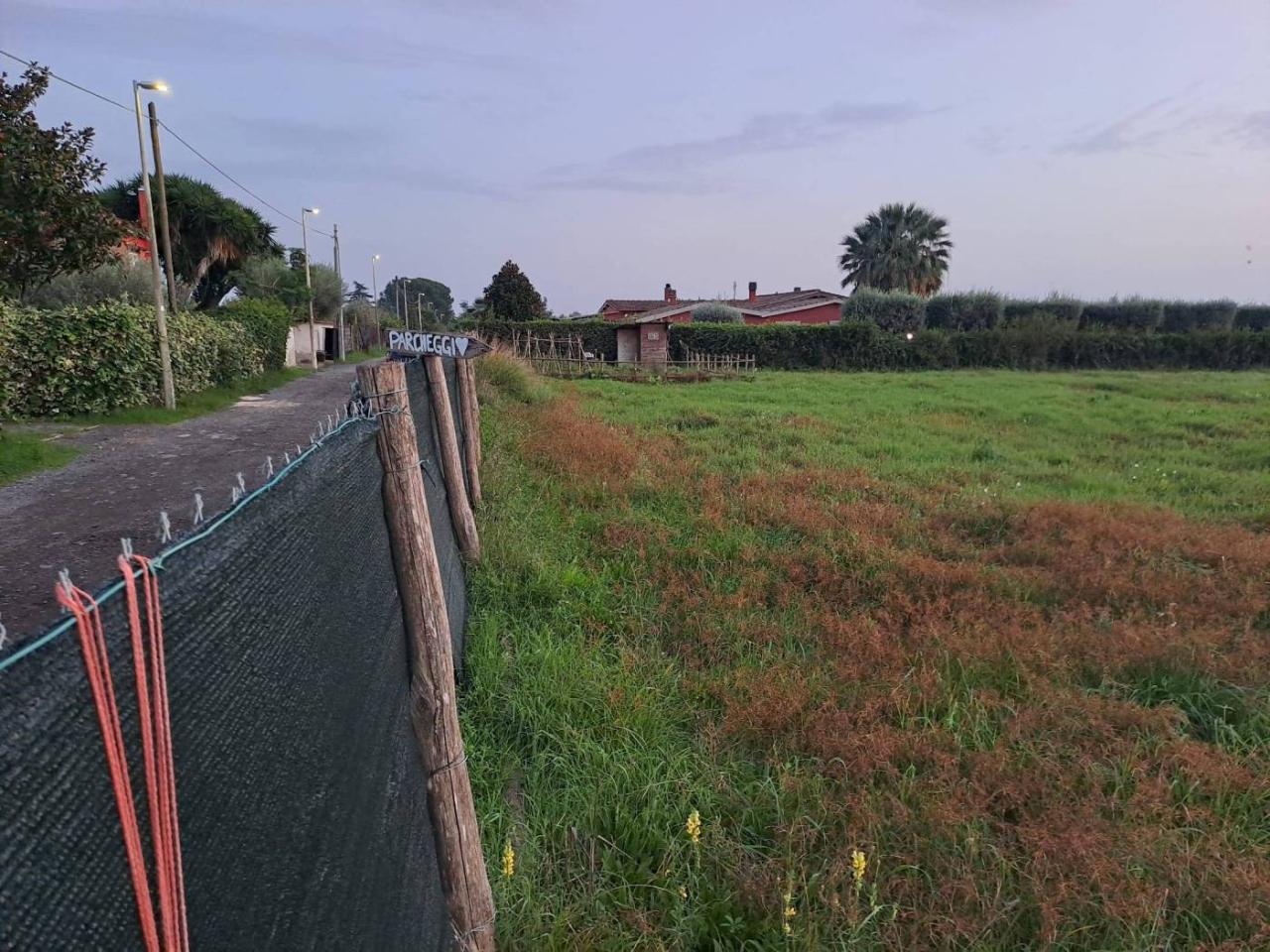 immagine annuncio 11 di 14