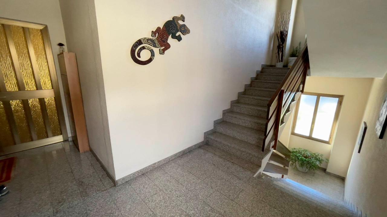 immagine annuncio 11 di 14